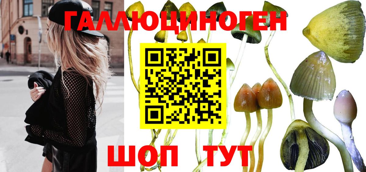 Галлюциногенные грибы Magic Shrooms  Галлюциногенные грибы Magic Shrooms  Вход с VPN  Ишимбай 